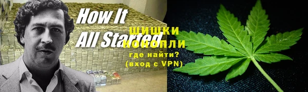 ALPHA PVP Бородино