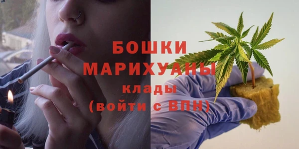 бутират Богданович