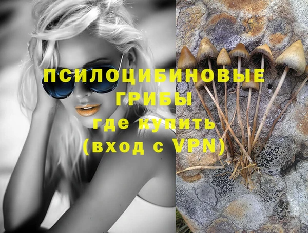 дмт Богородск