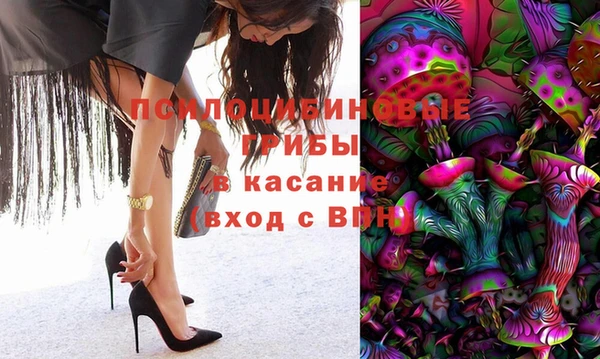 дмт Богородск